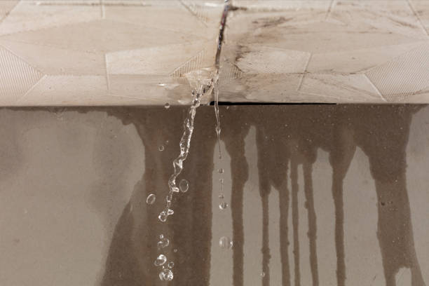 Professional Structural Drying technician working in Washington, NJ